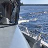 Snyggt till båten